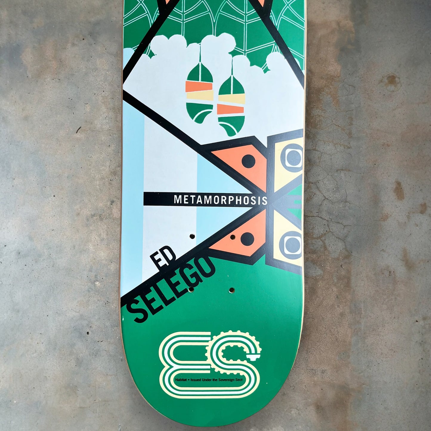 Habitat Ed Selego Metamorphosis Board